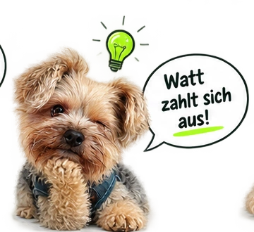 Felix prüft einen Home Assistant Blueprint